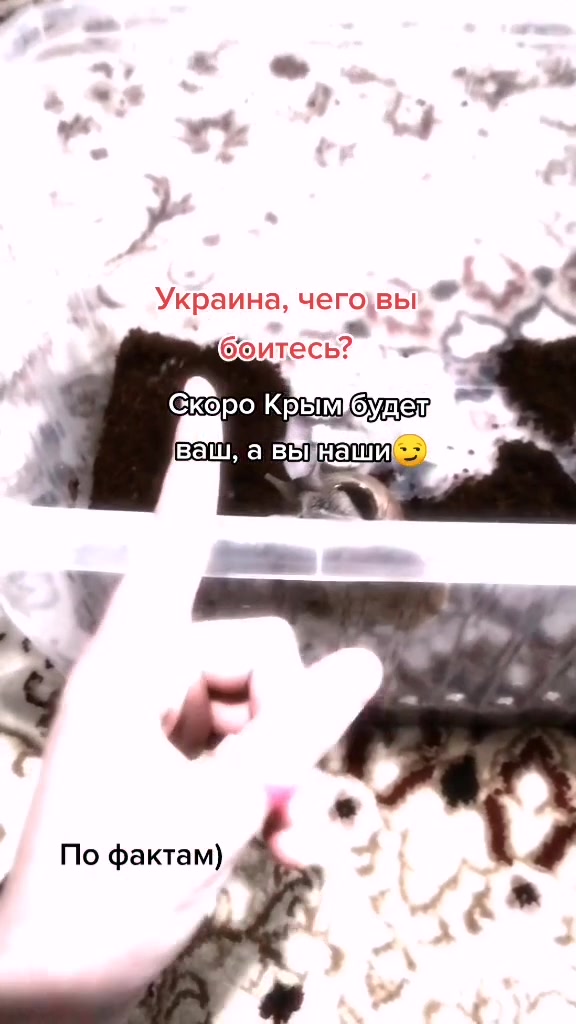 @Улиточки🐌💞