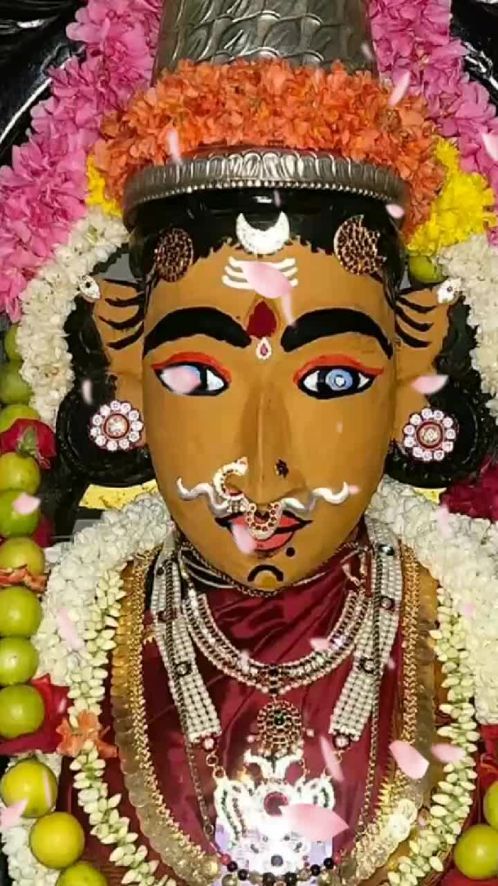 @user5108462079441
