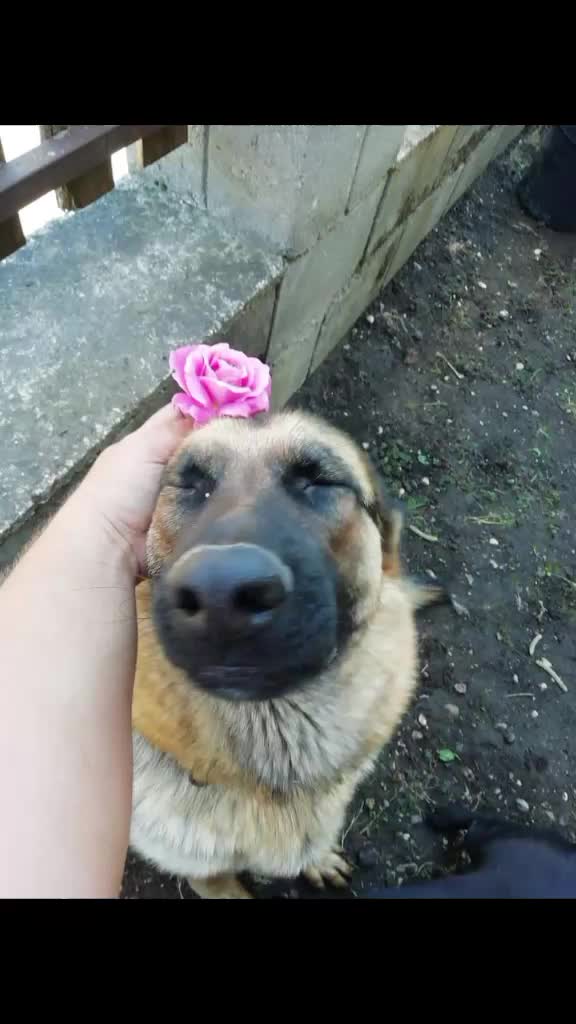 @Takács János