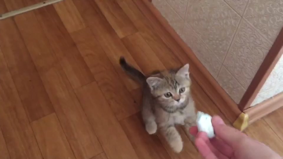 @ЖИТЬ рекомендациях✨