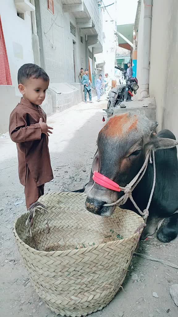 @M.YASIR