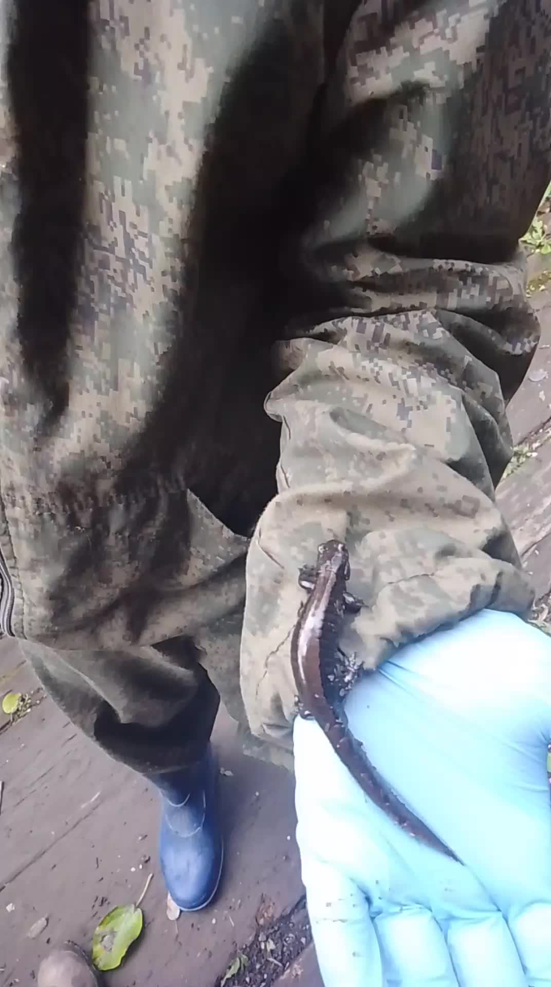 @Настя