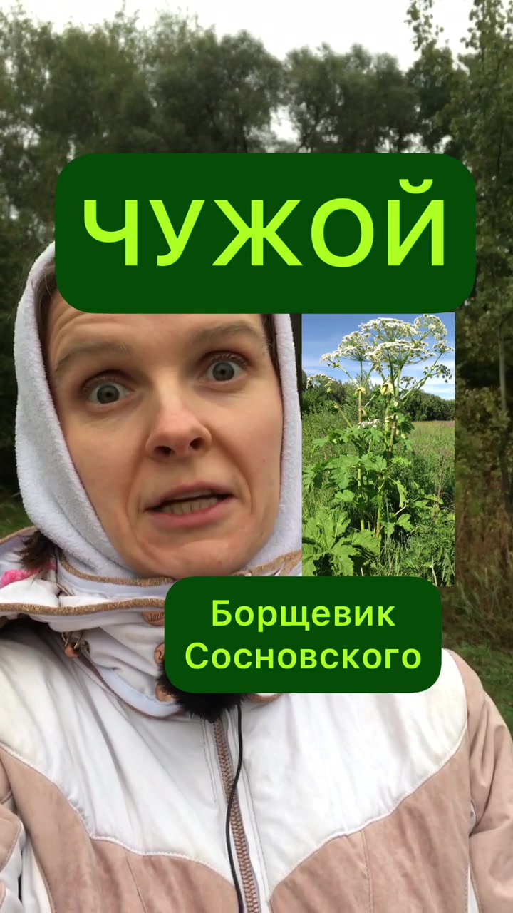 @Мария Попова