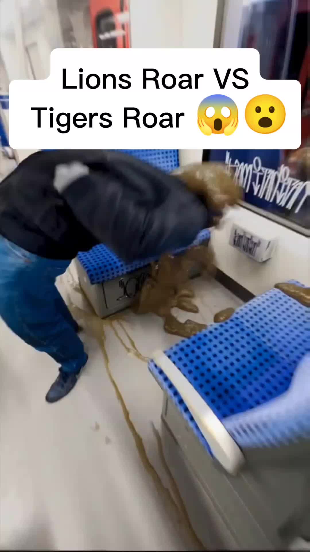 @horror videos