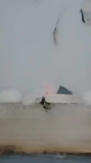 @. ️