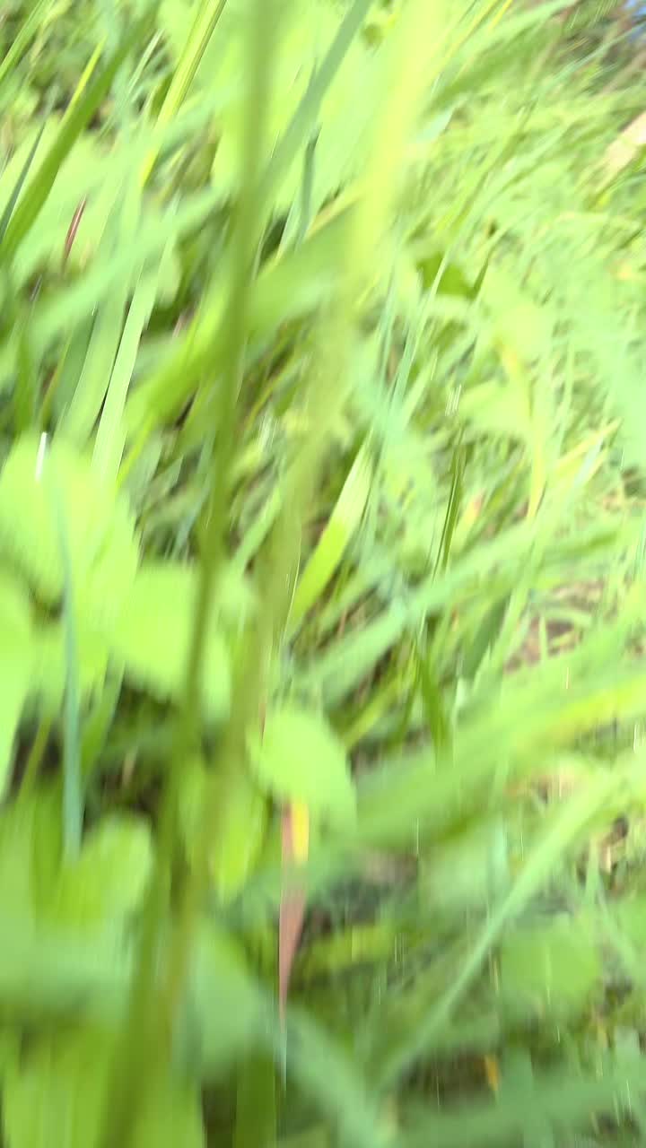 @Salina Prajapati