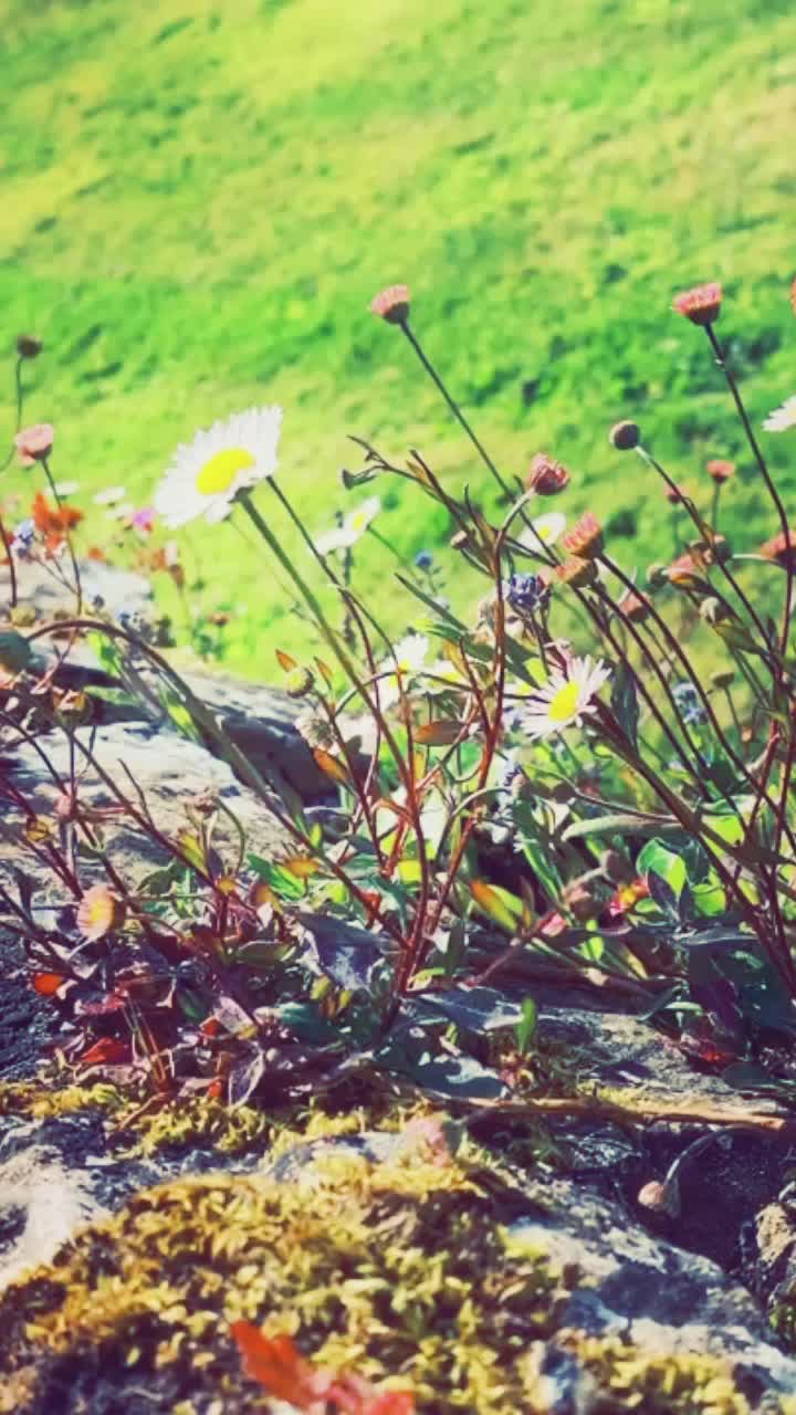 @Bhavurockzz