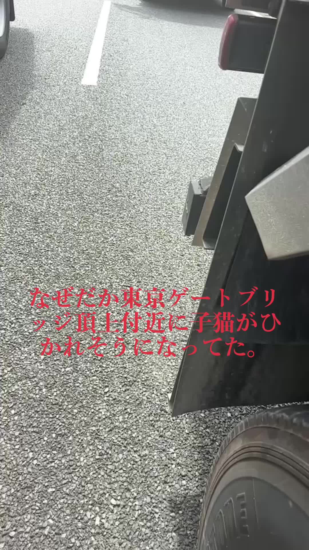 @🏴☠️暴君家族達13🏴☠️【本垢】