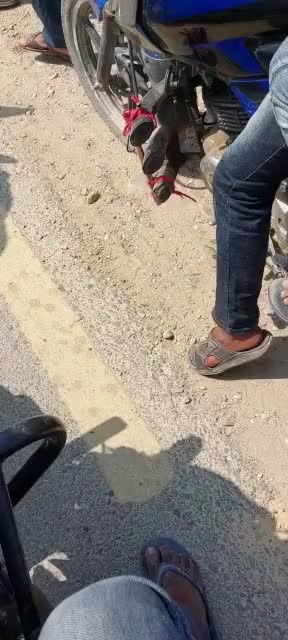 @hardhik yadav