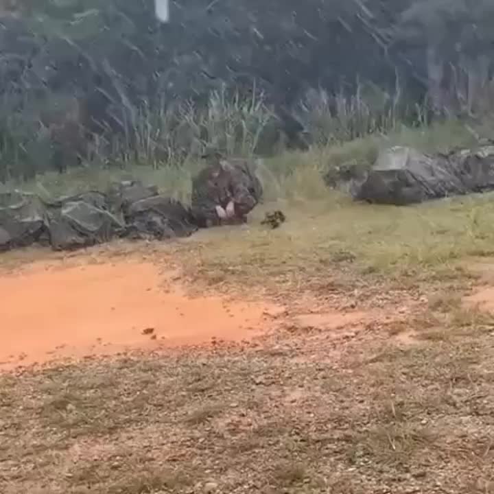 @Даниил Захаров