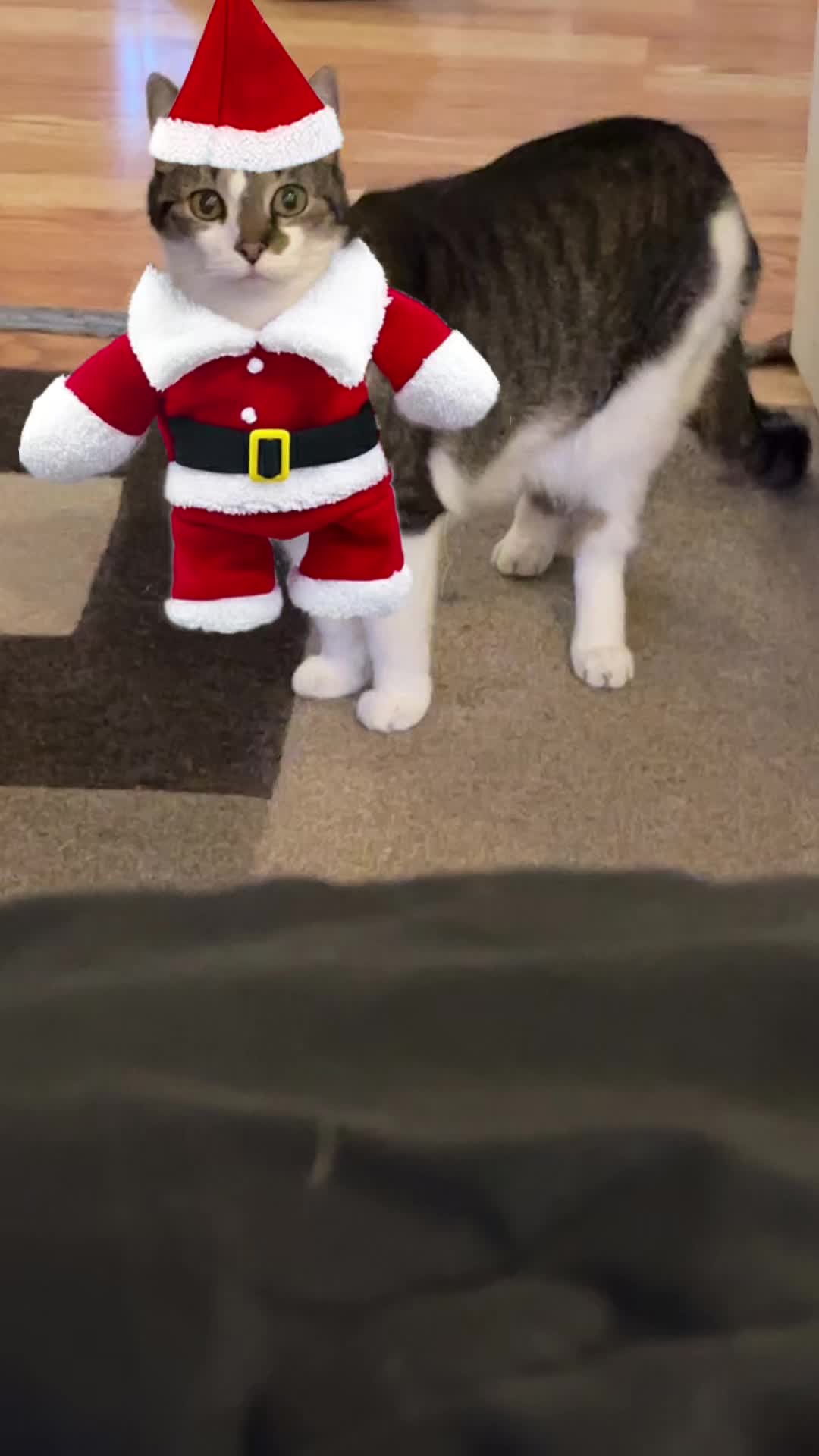 @Ston3rmom199267