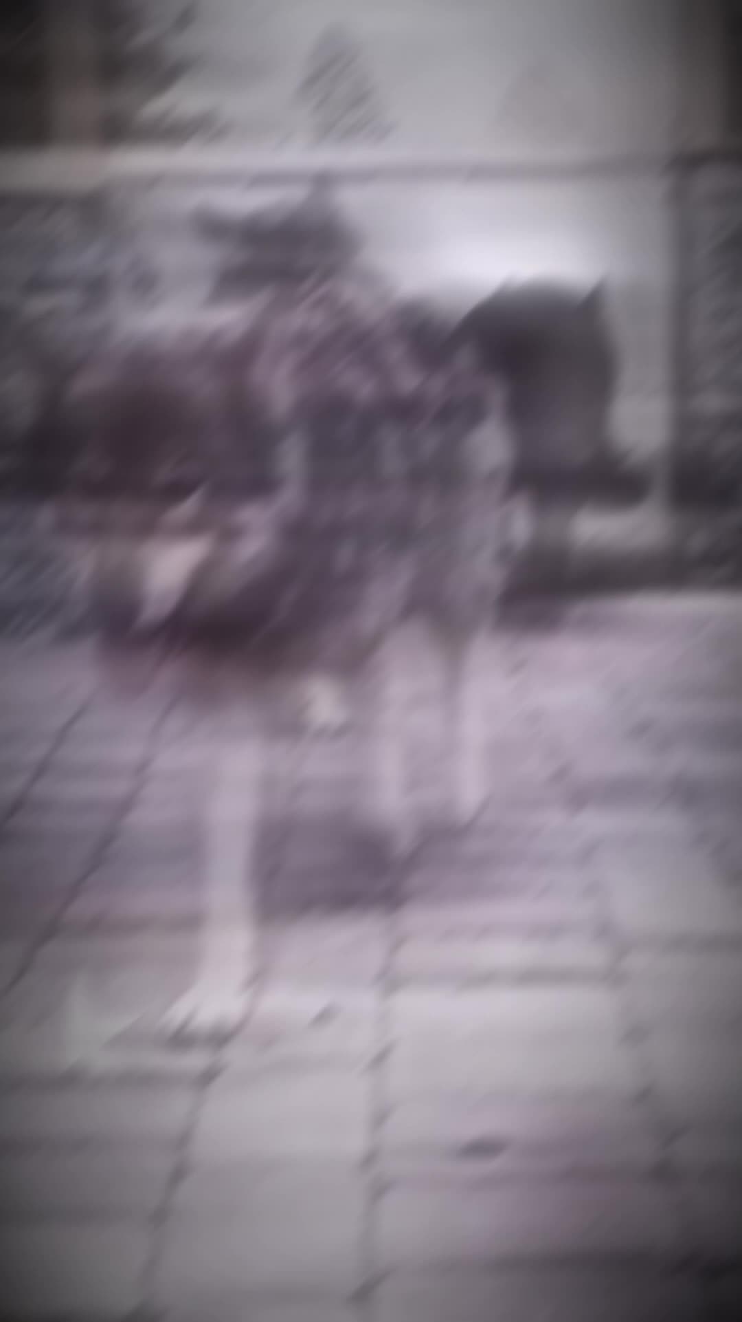 @โธธ๐คC๐๐๐๐๐๐๐D๐๐๐๐๐คโธธ