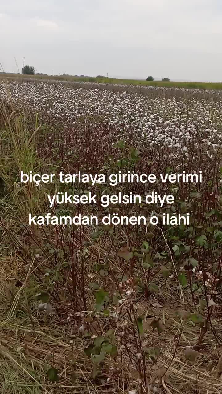 @Sabri Durmuş