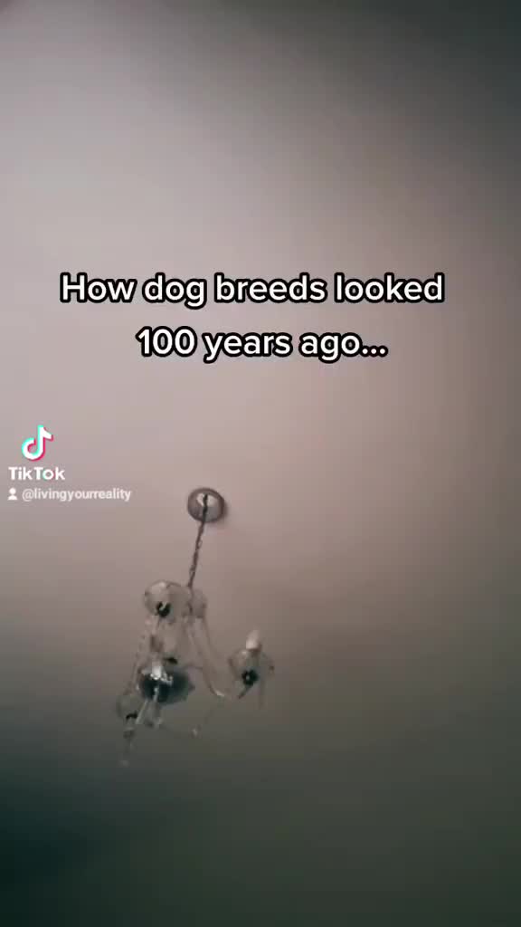 @livingyourreality