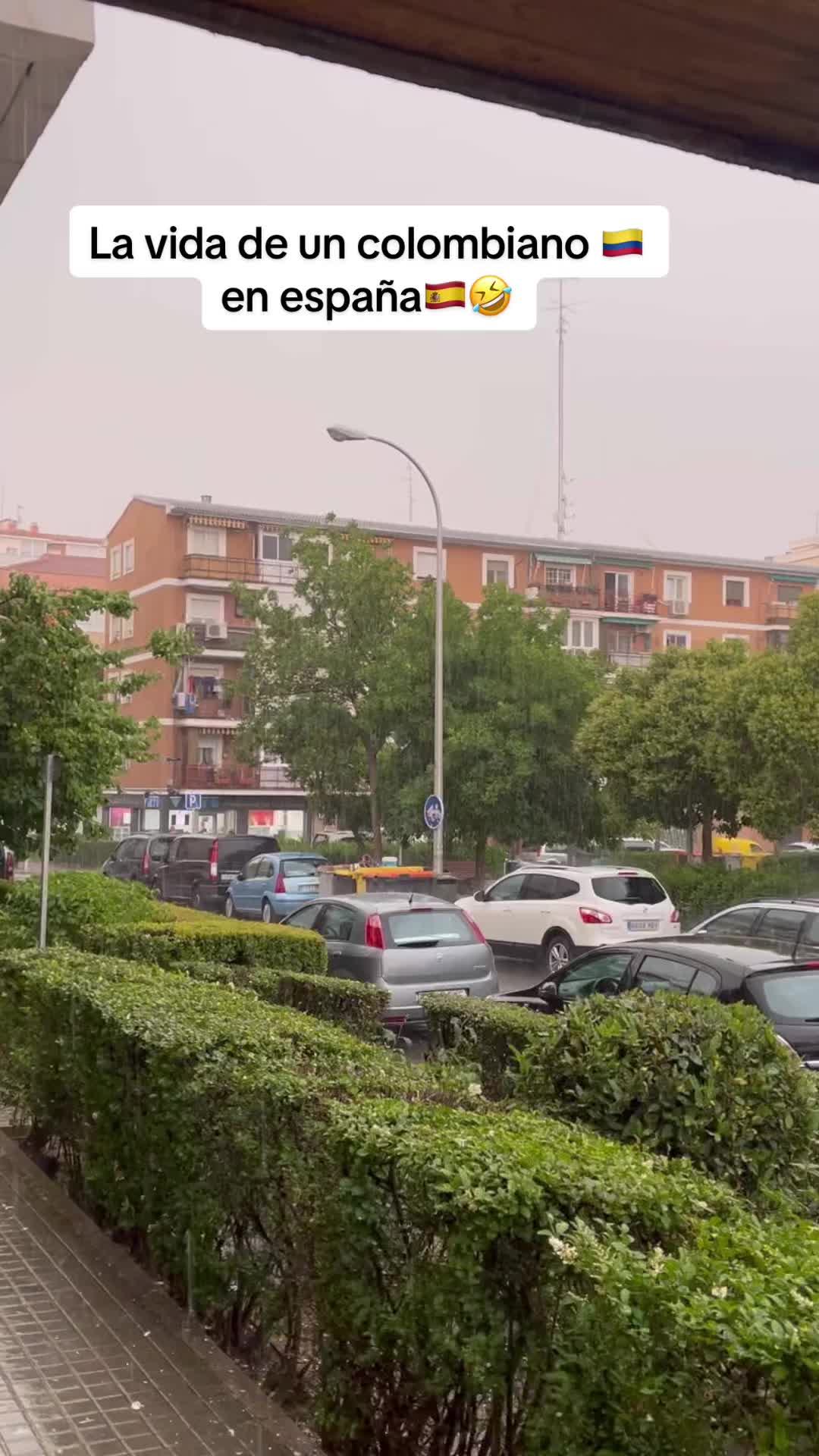 @marcebarbosa