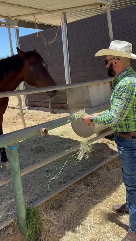 @🇲🇽🇬🇹🤠Leiva Luis🤠🇲🇽🇬🇹