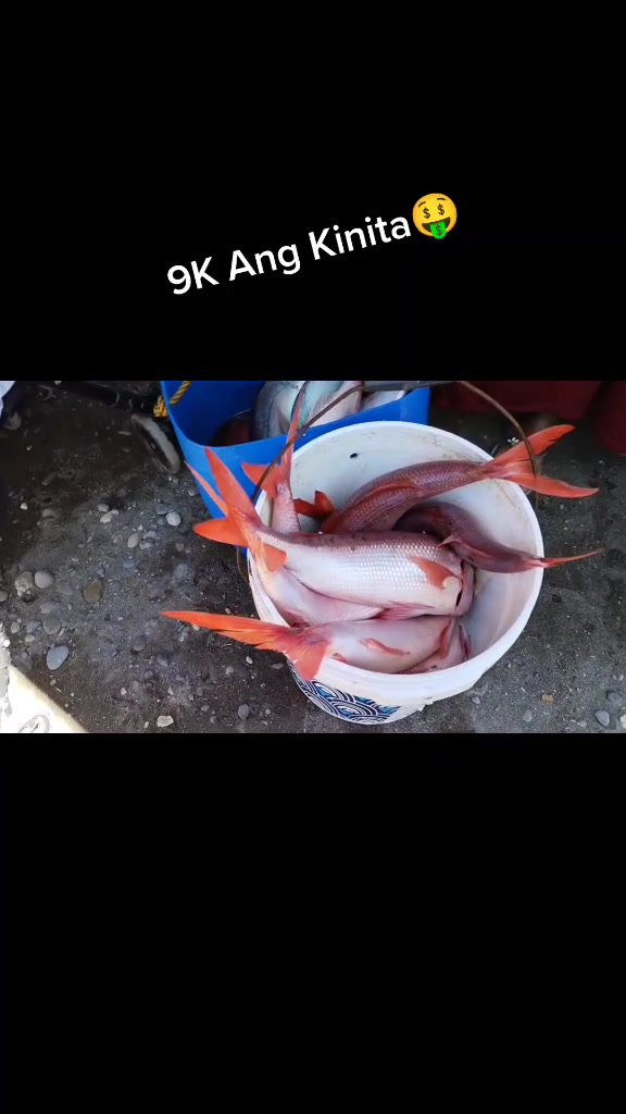 @Master Lei