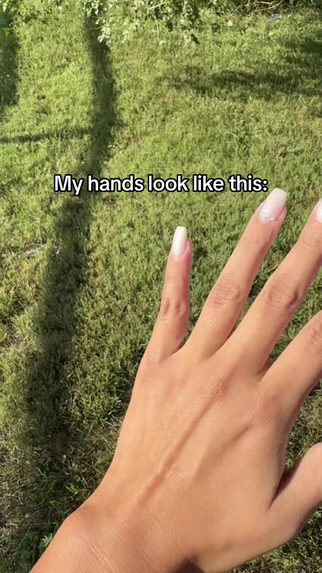@favaunti3