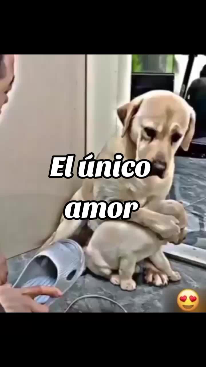 @Khristian//NERÓN Oficial