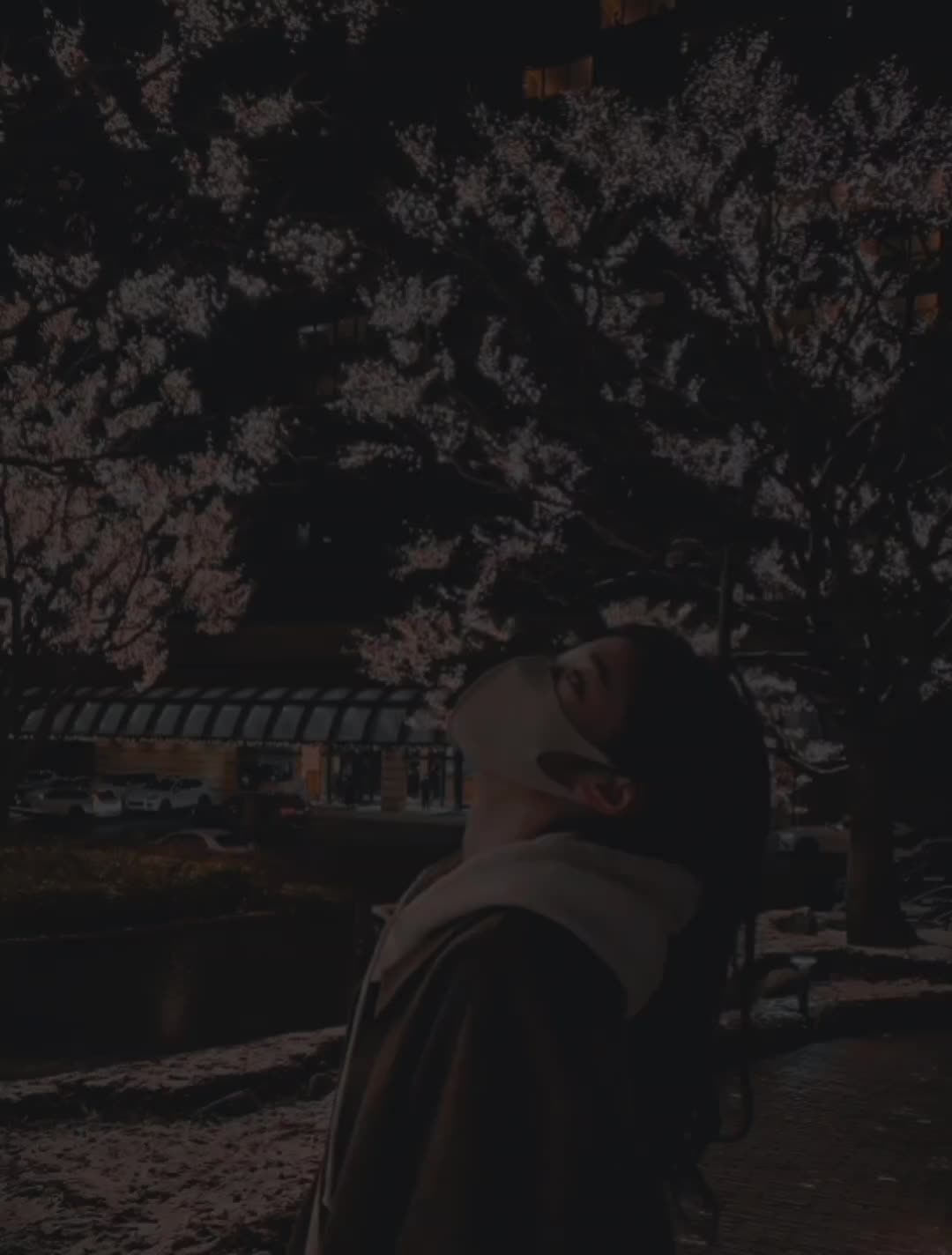 @𝗔𝗗𝗡𝗔𝗡🖤