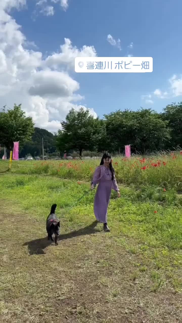 @中里弥菜@MC