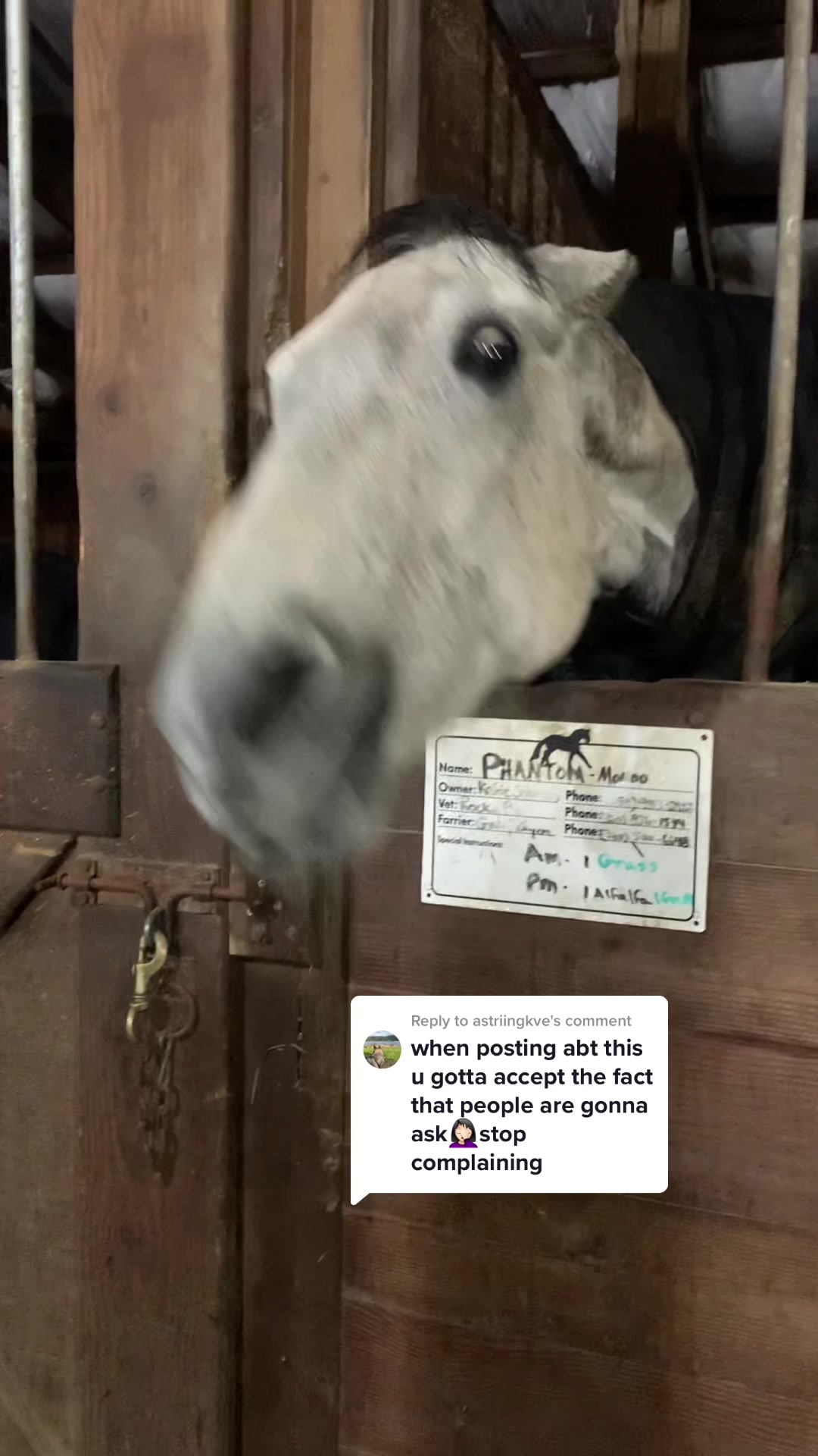 @pnwbee