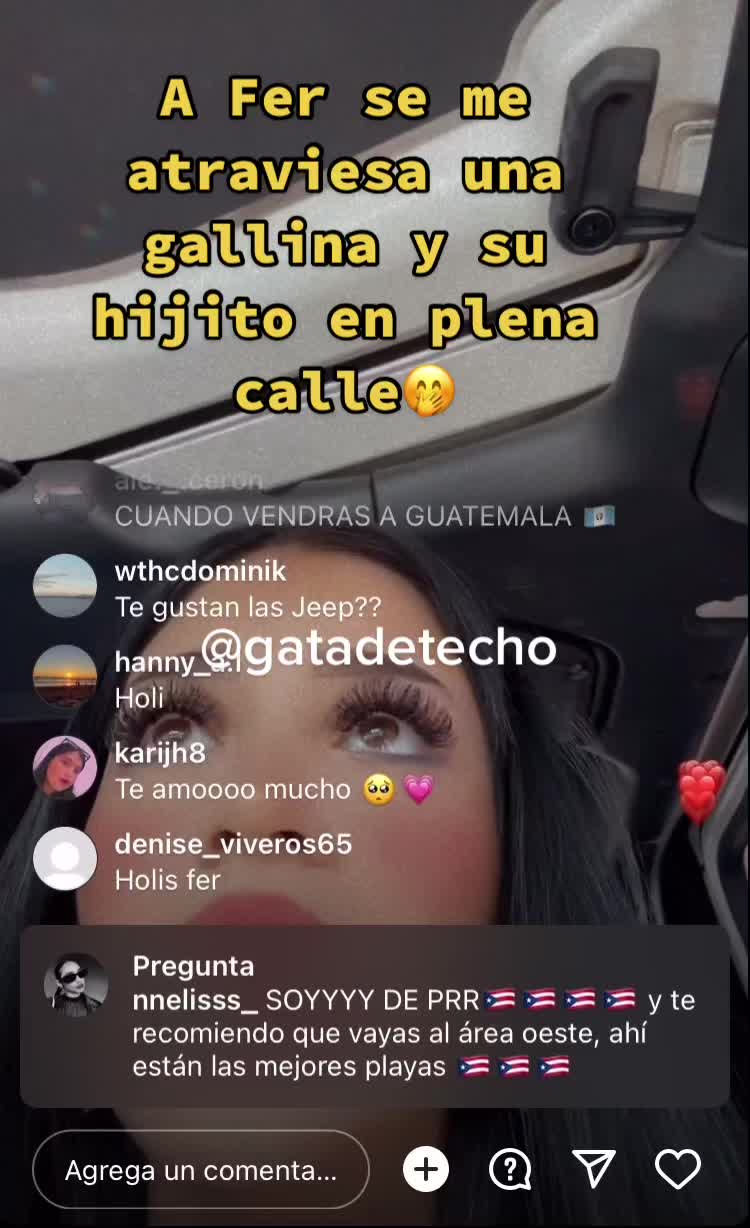 @Gatadetecho