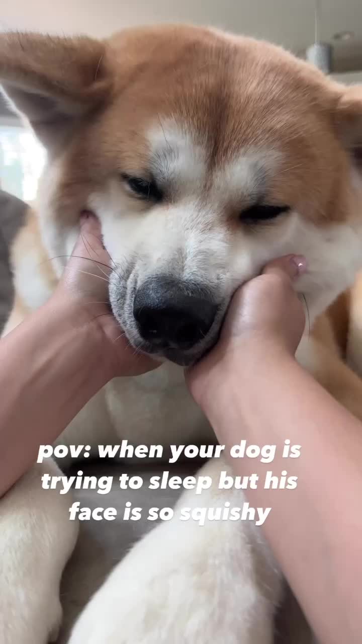 @Yuki