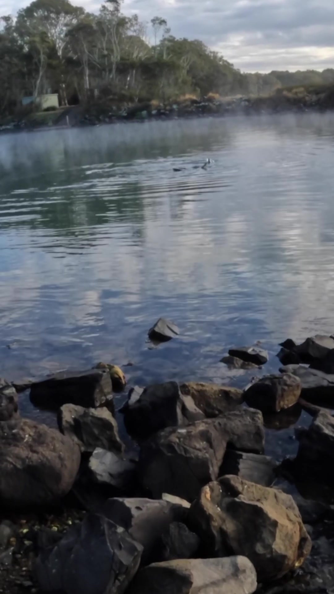 @BST Fishing