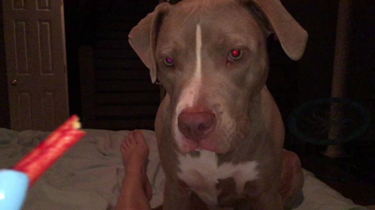 @🥴 Zoey 🥴