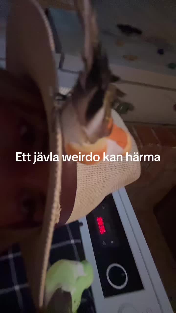 @Gl&ouml;m inte bort bruuuncherna 🙄