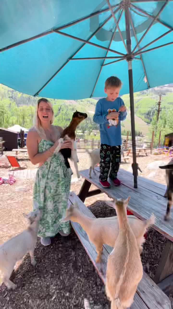 @Vail Stables