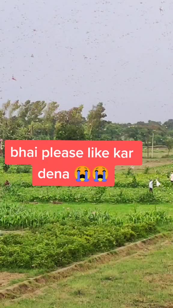@shanukhan775502