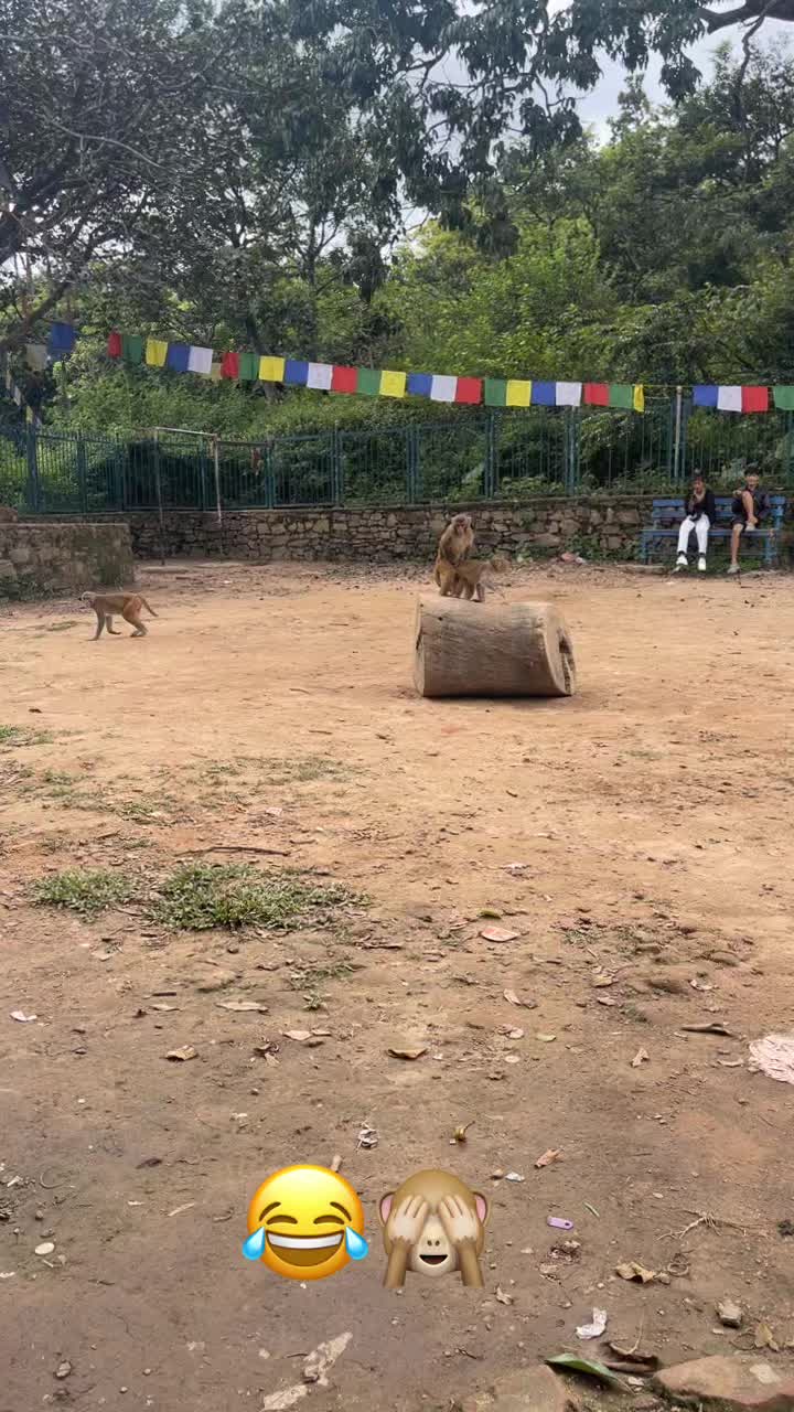 @NepalVid