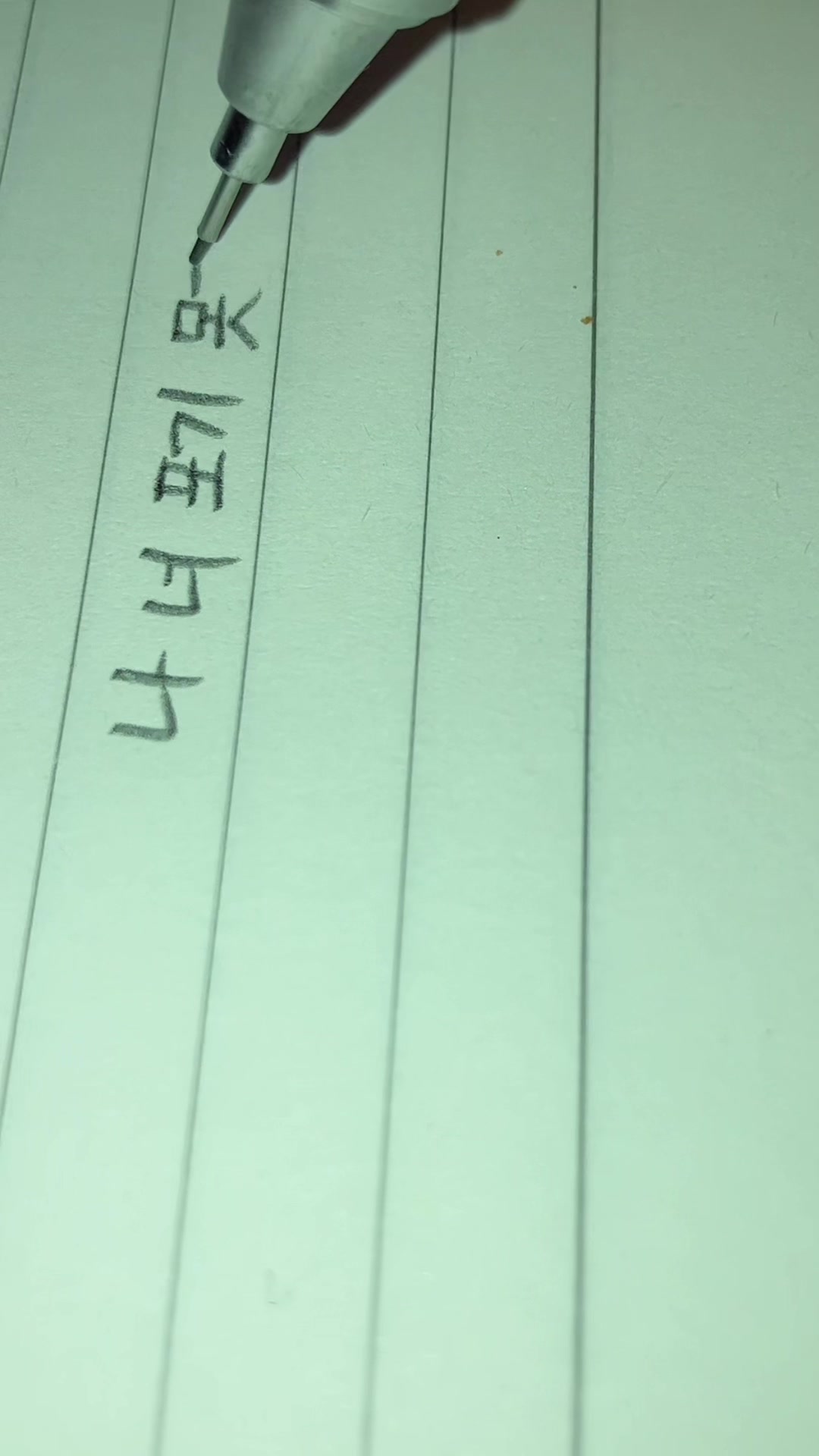@(,,ᴗ ᴗ,,)