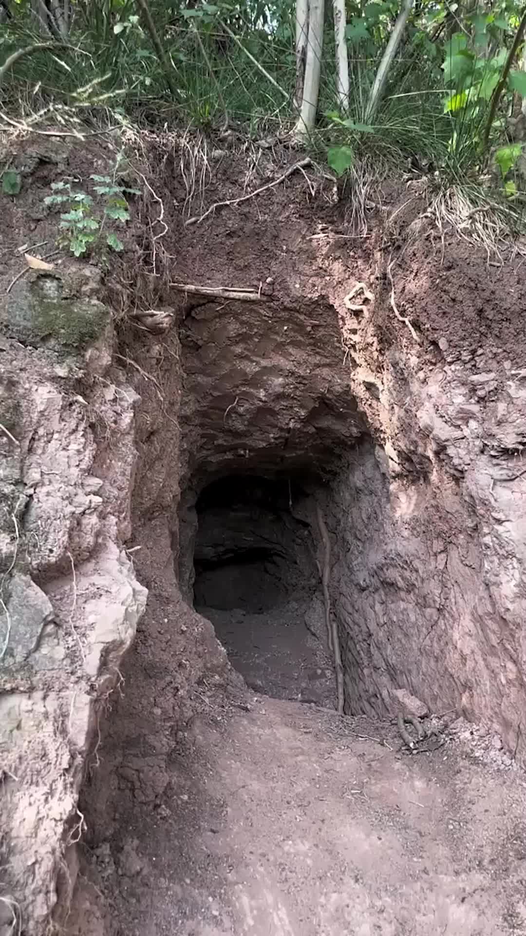 @逸明荒野探墓