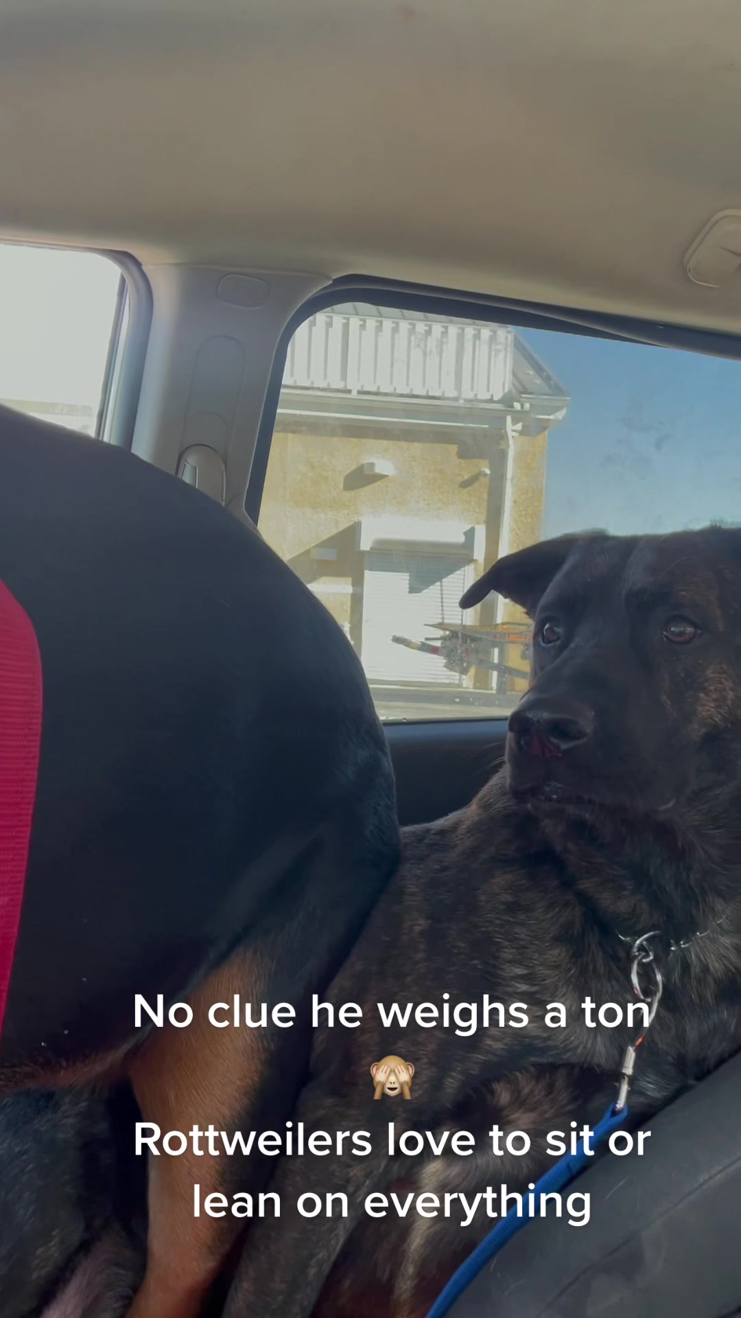 @RottweilerRuger