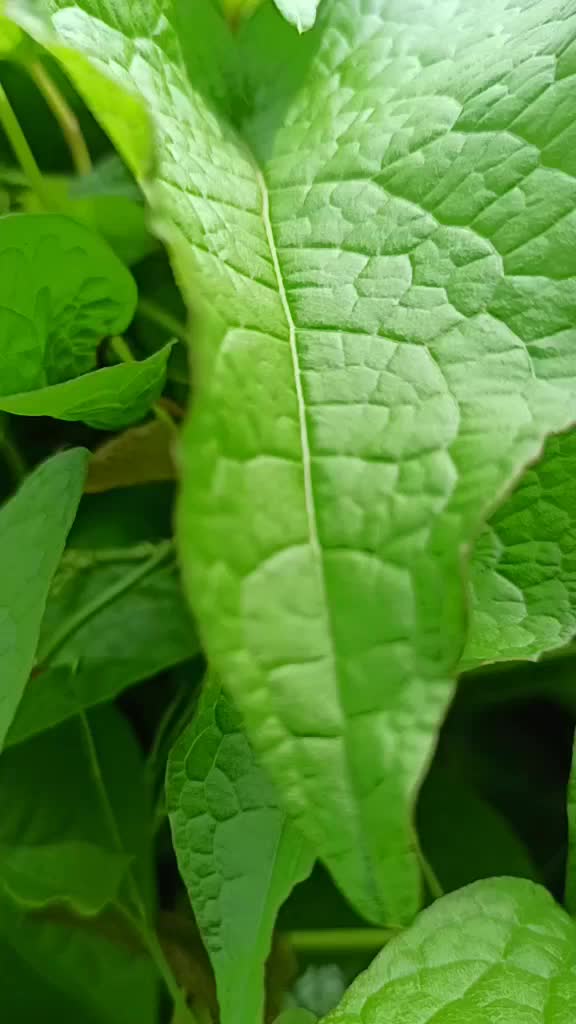 @suryapawar714