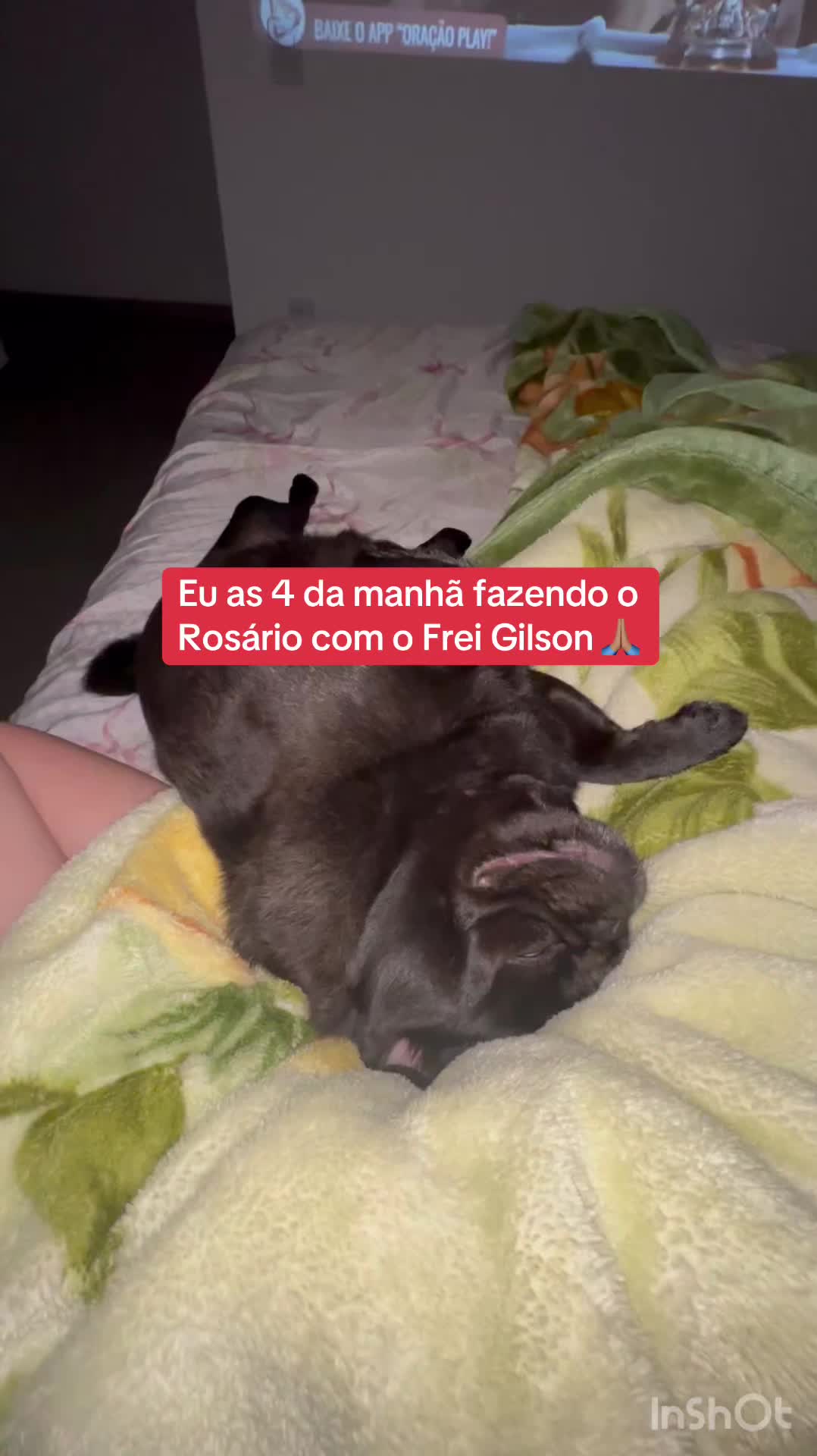 @Casinha660