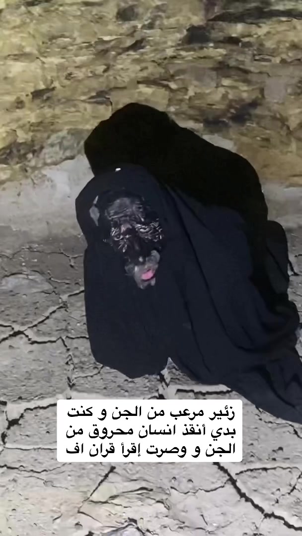 @حسن بربر