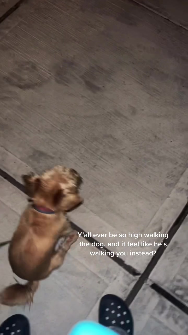 @jtyjmtyj