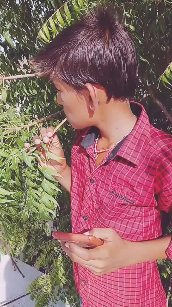 @mhakal084