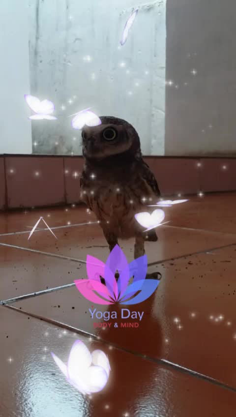 @Ramaa baba
