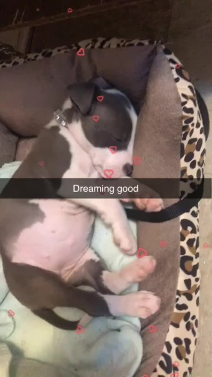 @teamrhabreezy21