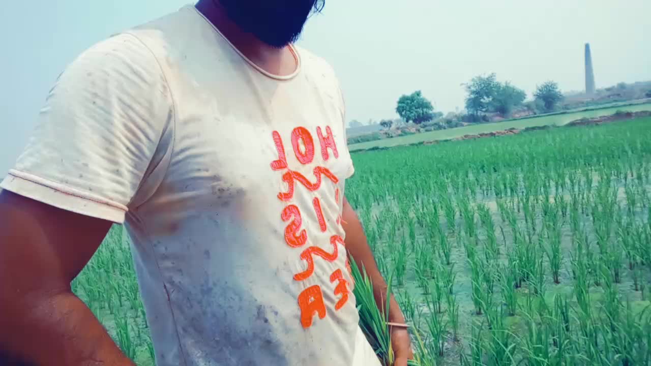 @Jaggi Bachhal