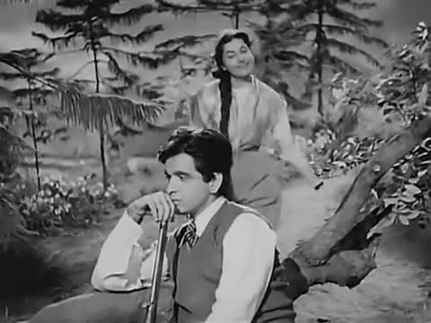 @mansooralidhanani5