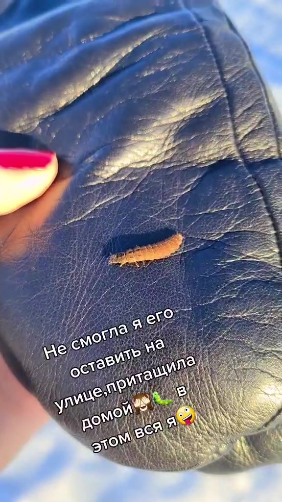 @Brunodiary