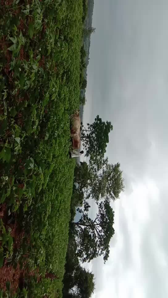 @Sagar Chinnu