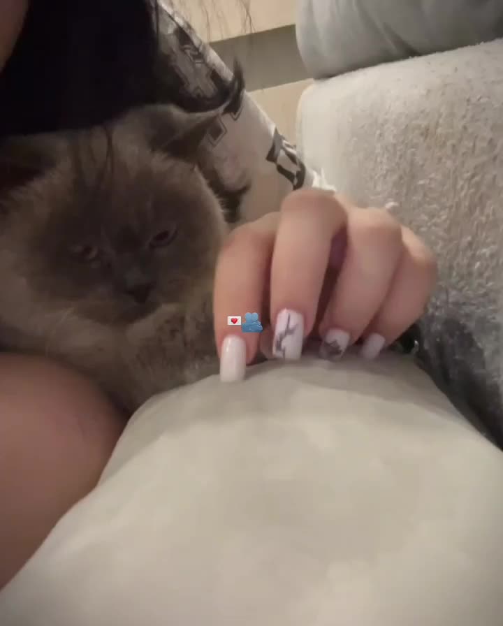 @na_macce0