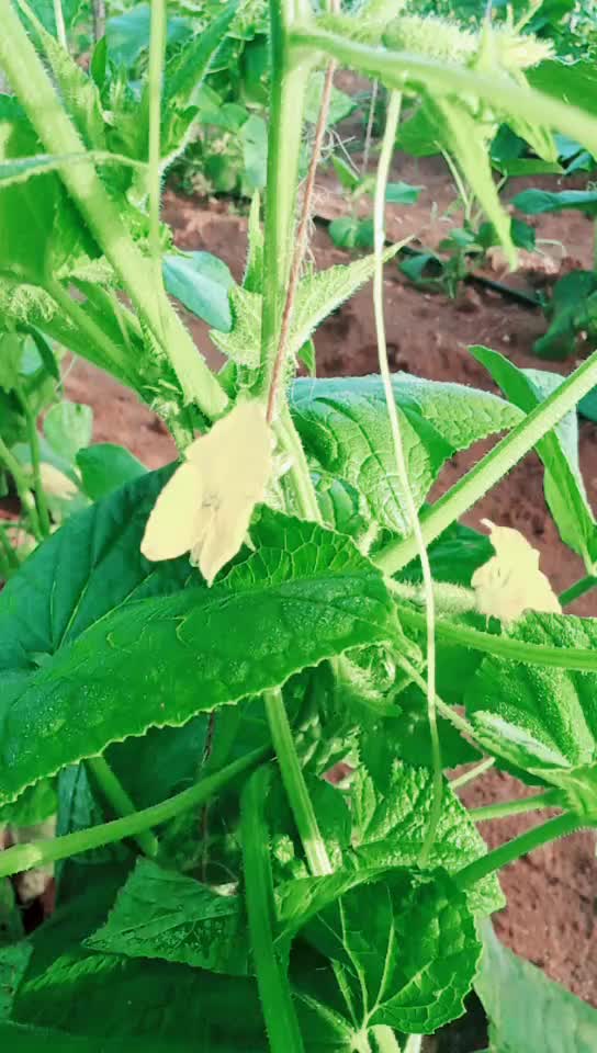 @ಗಂಗಾದರ್ user083111